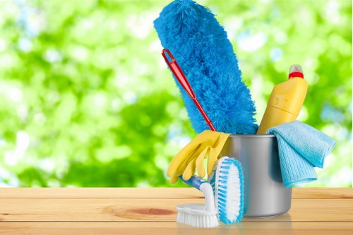 Professional carpet cleaning team working in a Haringey home