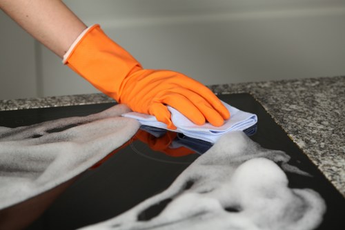 Professional carpets cleaner in Haringey deep cleaning a residential carpet