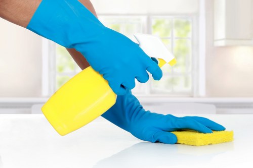 Professional carpet cleaner in Haringey treating a living room carpet
