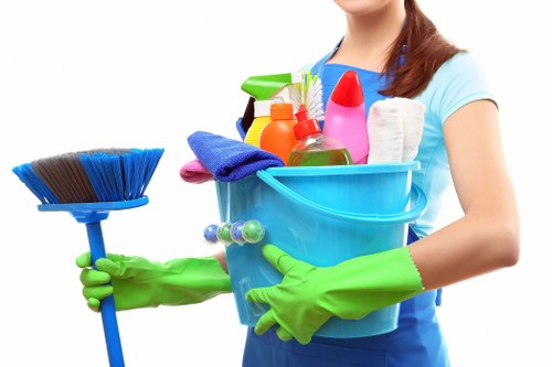 Domestic cleaner providing house cleaning in Haringey kitchen service