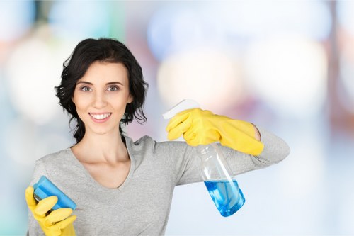Local cleaners in Haringey providing detailed house cleaning