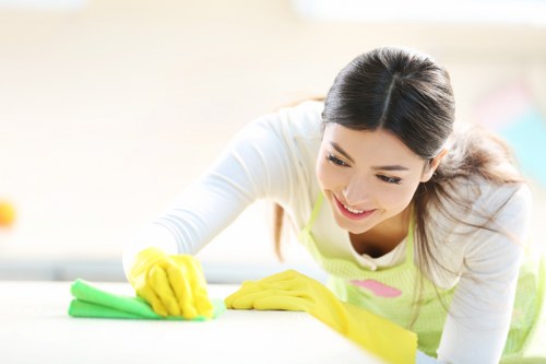 Accessibility support request concept for local cleaning services