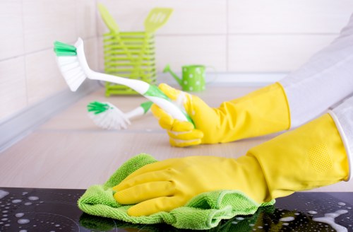 Removing grease and burnt residue during oven cleaning in Haringey