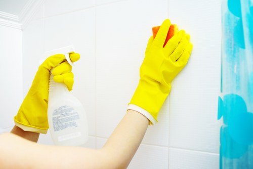 Deep cleaning oven racks and trays during oven cleaning