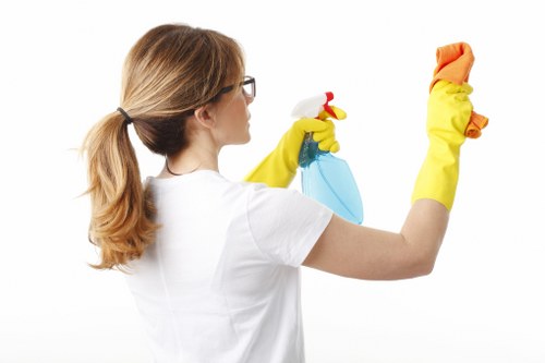 Regular house cleaning in Haringey for a family home
