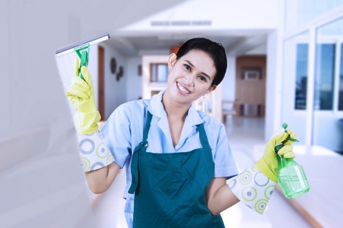 Deep upholstery cleaning for upholstered chairs in Haringey