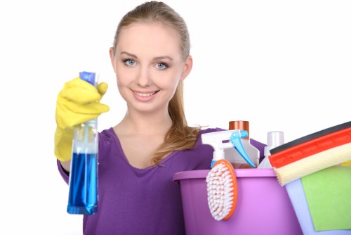 Detailed carpet care process for local Haringey flooring
